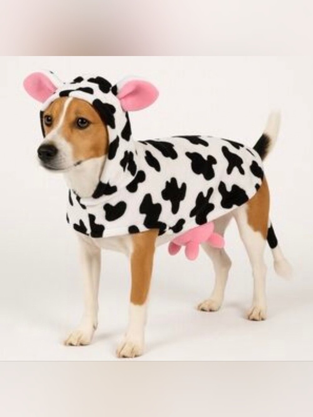 Skull & Bones Cow Halloween Costume For Dogs